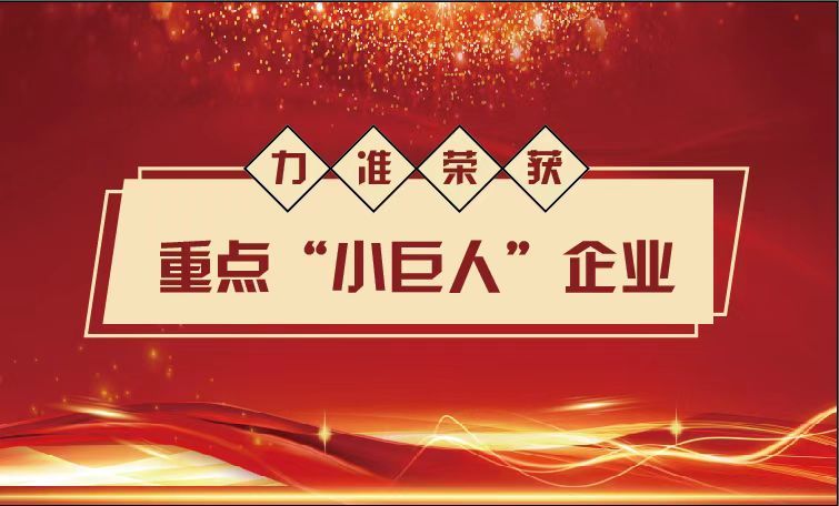 2022 年 2022 年